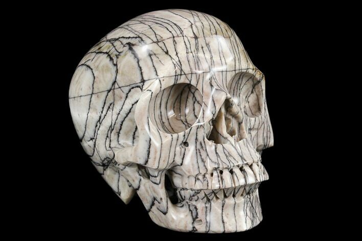 Realistic, Polished Picasso Jasper Skull #116709